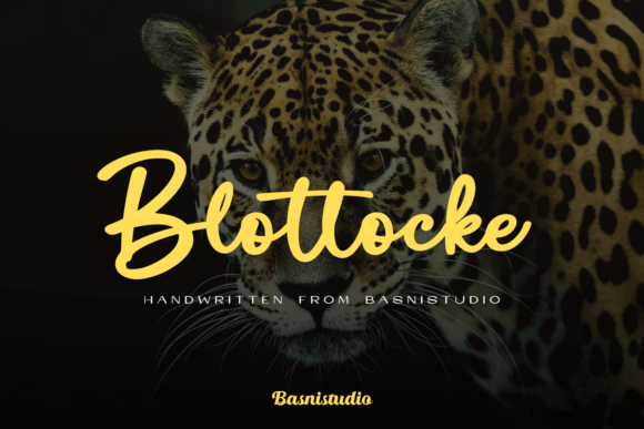 Blottocke: A Bold Script Font for Branding
