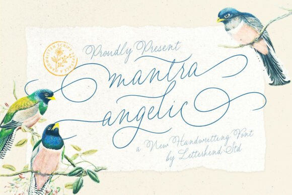 Mantra Angelic Pua: The Elegant Script Font for Brands