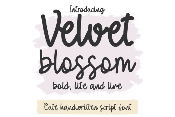 Velvet Blossom: A Warm Script Handwritten Font